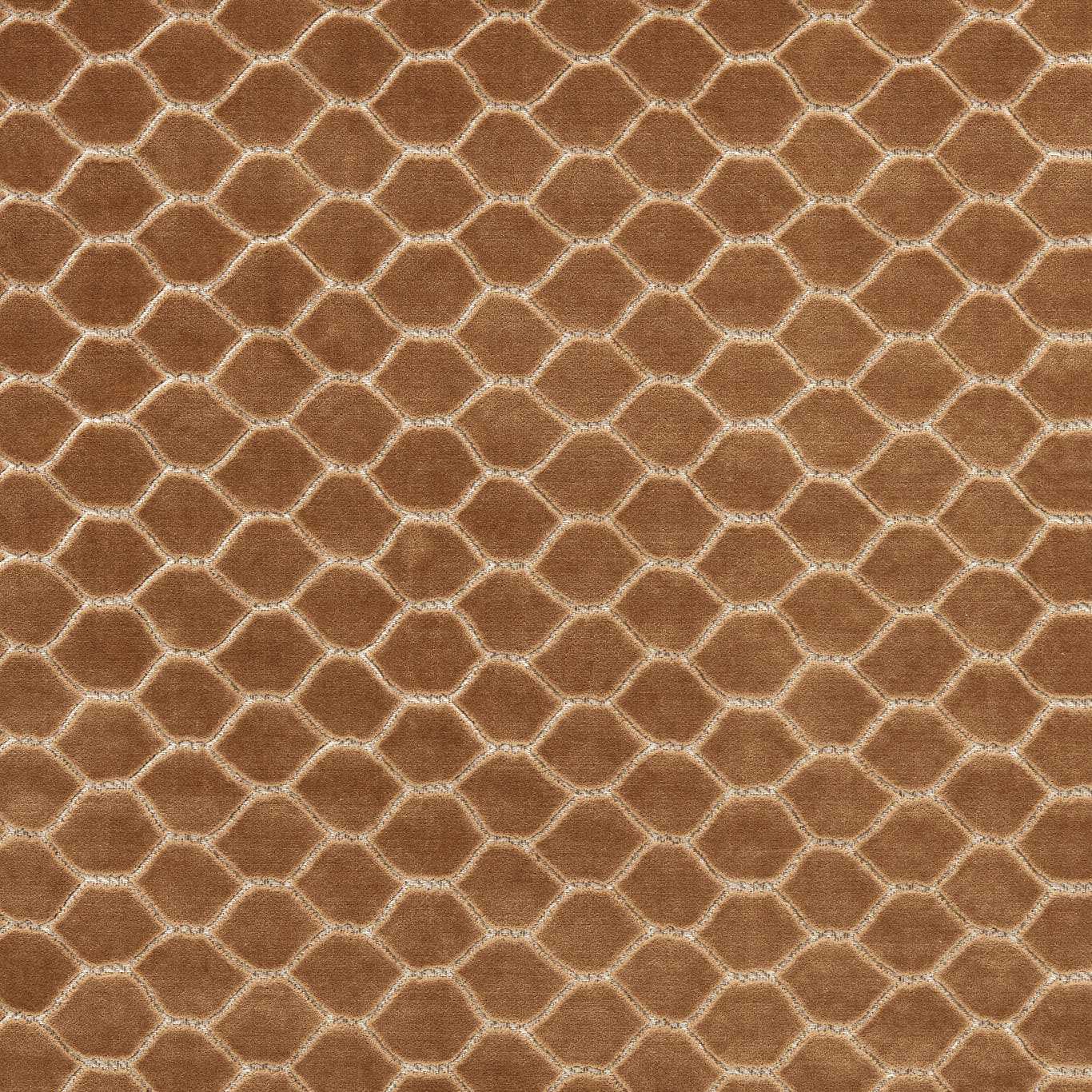 Bronze
