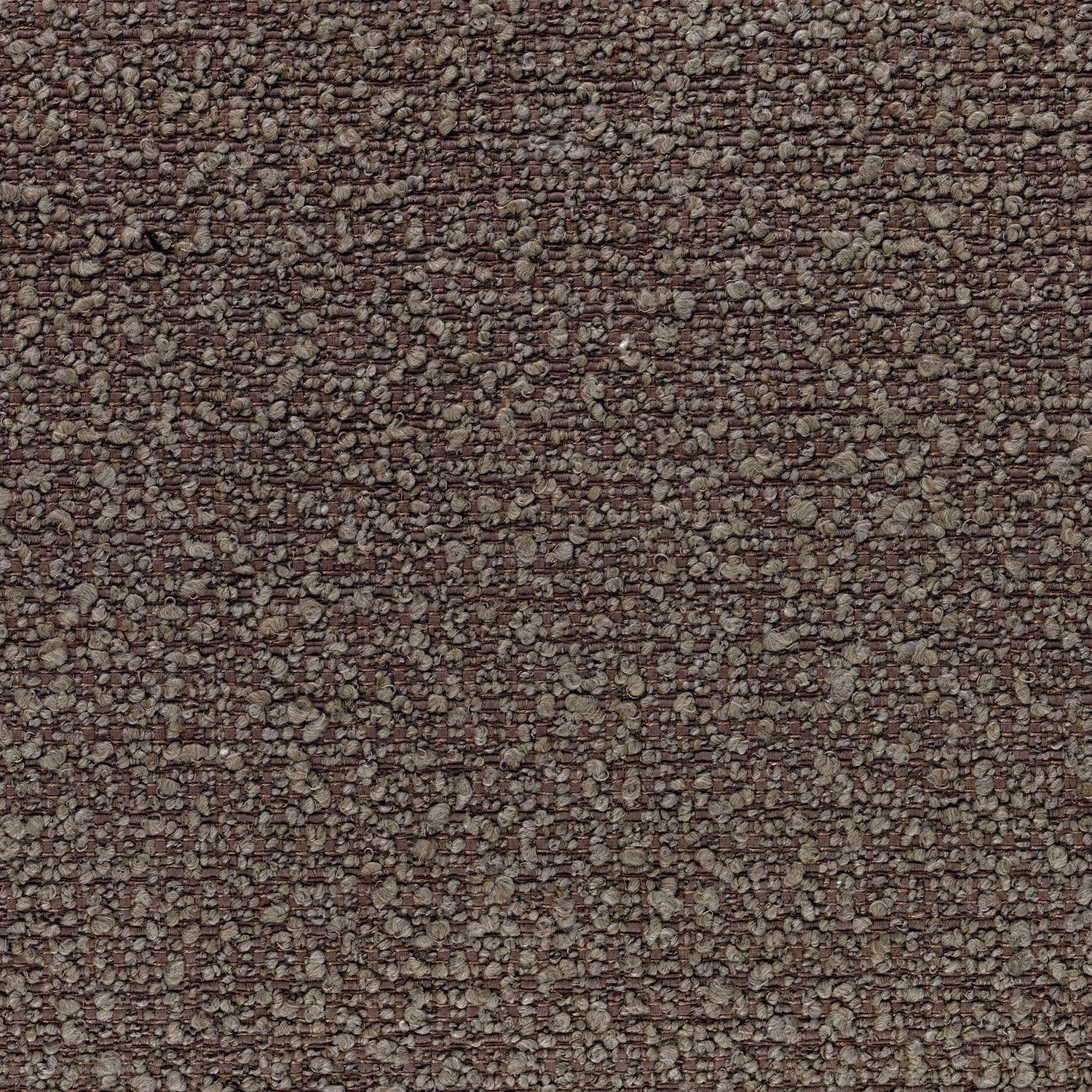 Casamance Alpine