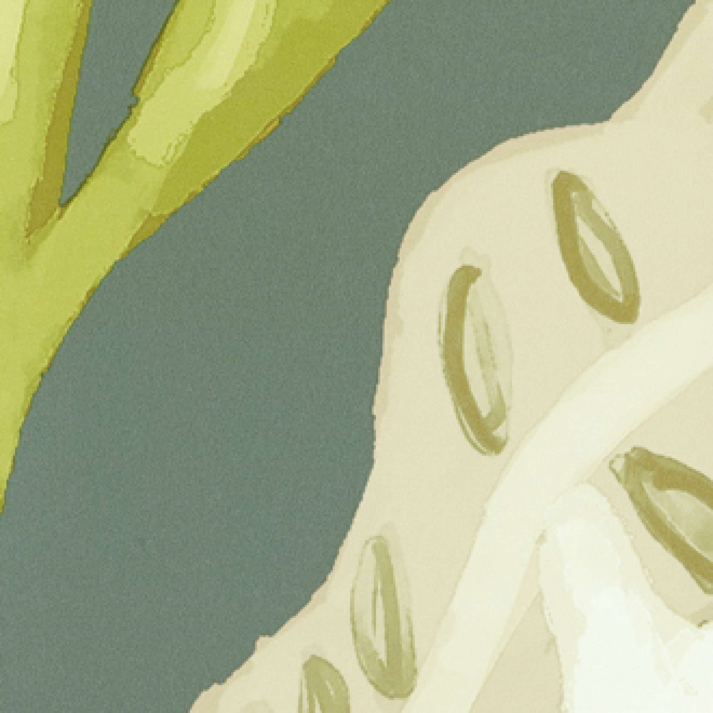 Maîtriser son destin