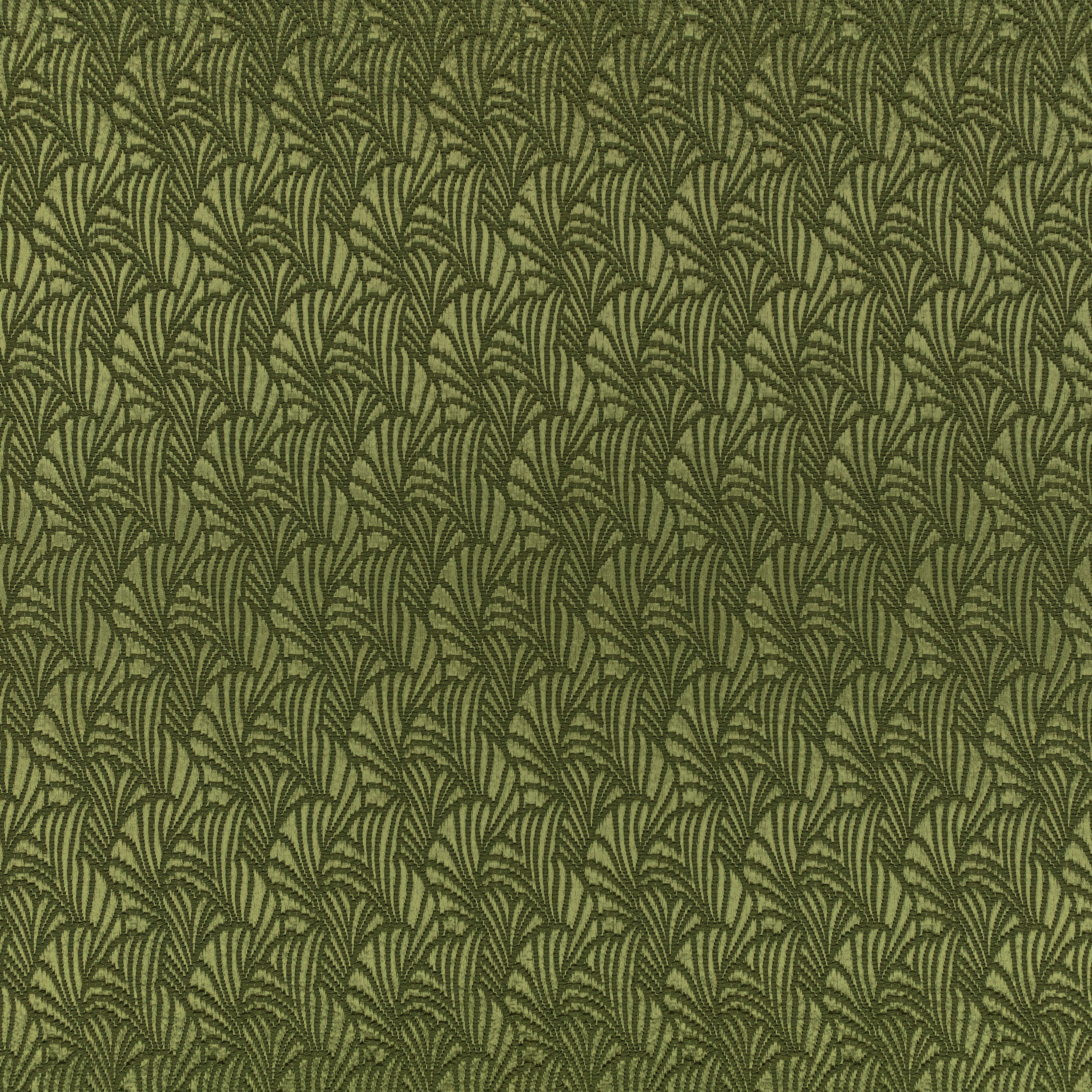 Monstera