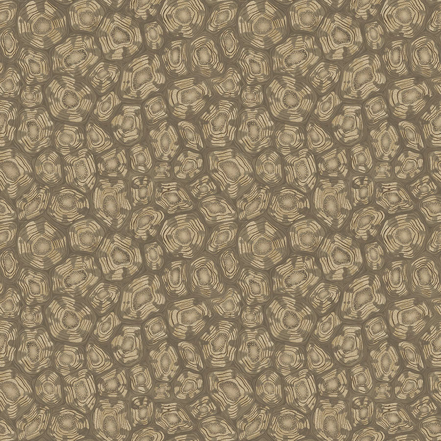Cole & Son Savanna Shell