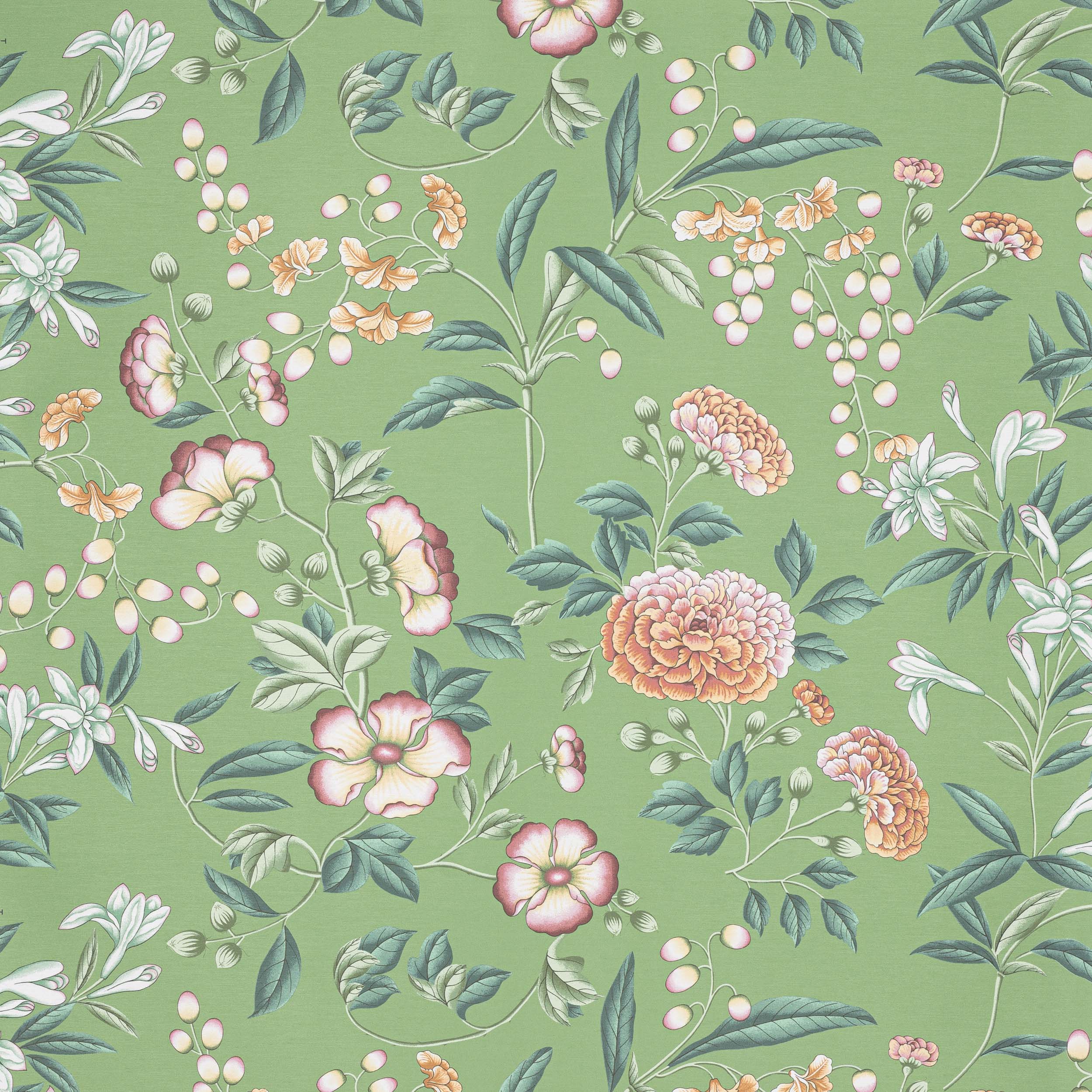Manuel Canovas Coromandel Manuel Canovas Coromandel