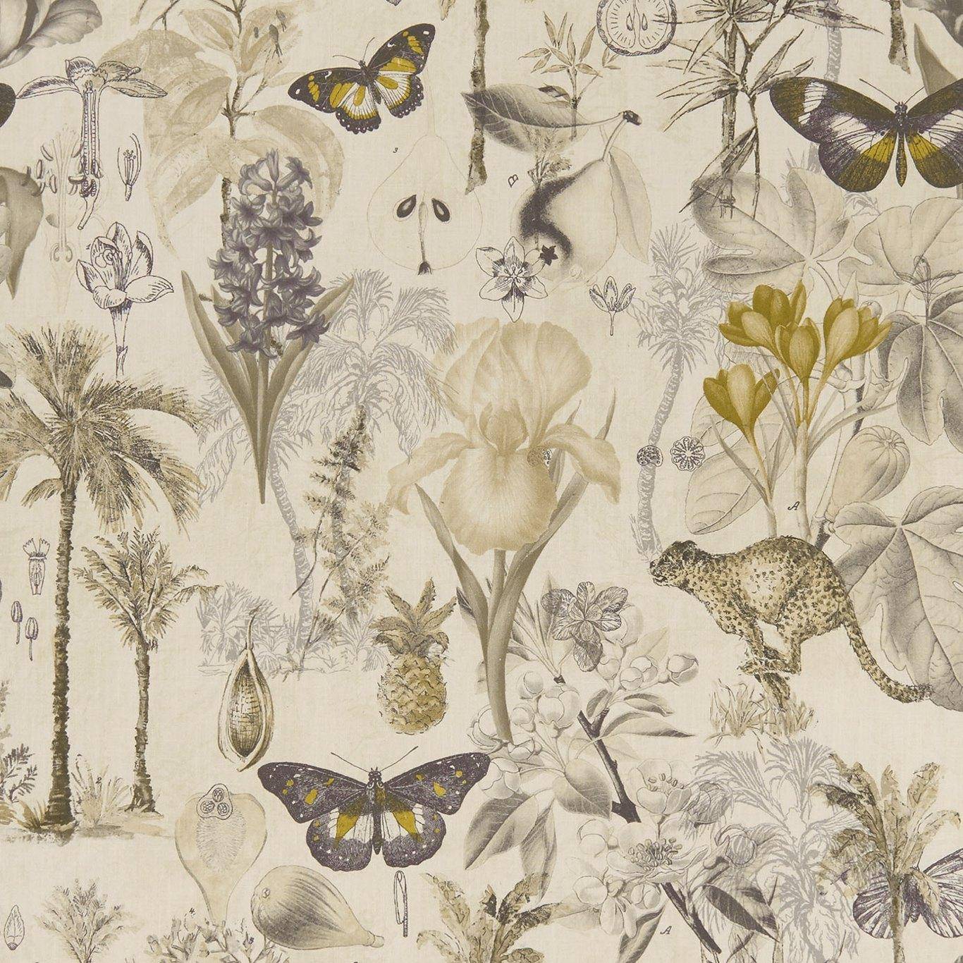Clarke & Clarke Botany