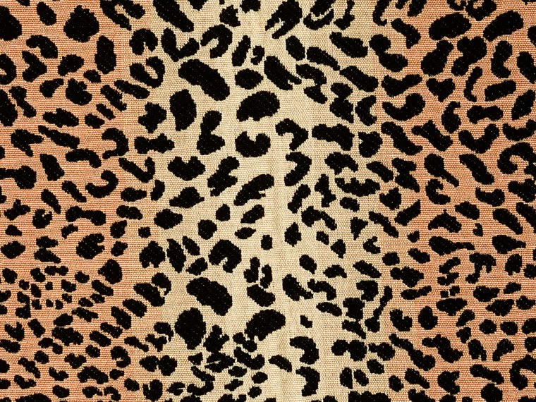 Le Manach Guepard cambridge