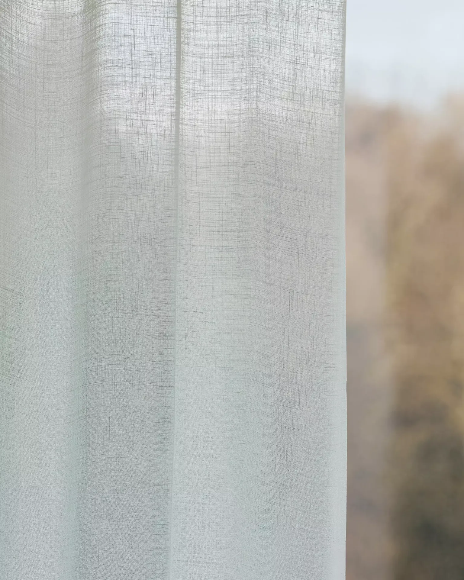 Création Baumann Viva