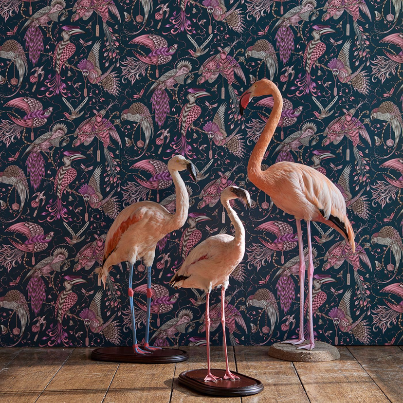 Clarke & Clarke Audubon - Vliestapete mit exotischen Vögeln