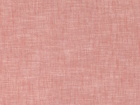 Sorbet