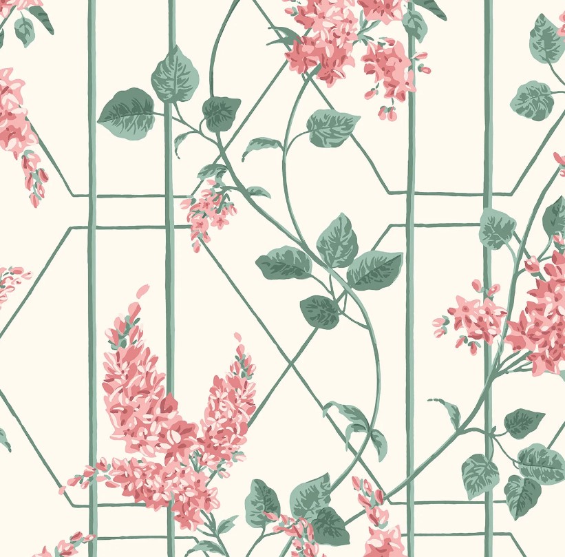 Coral & Sage on White