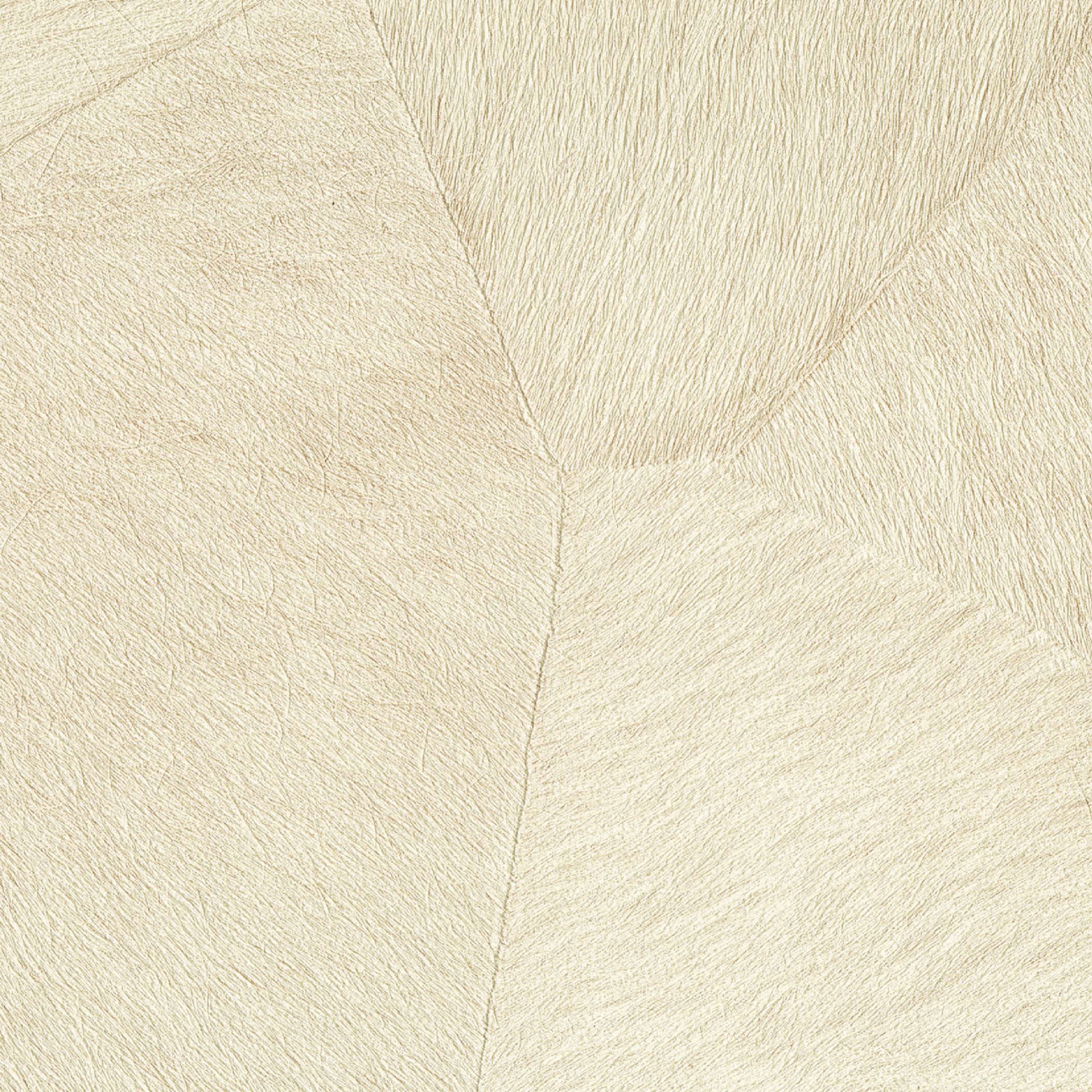 Le roi des banquises