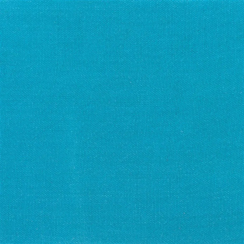 Indian Ocean