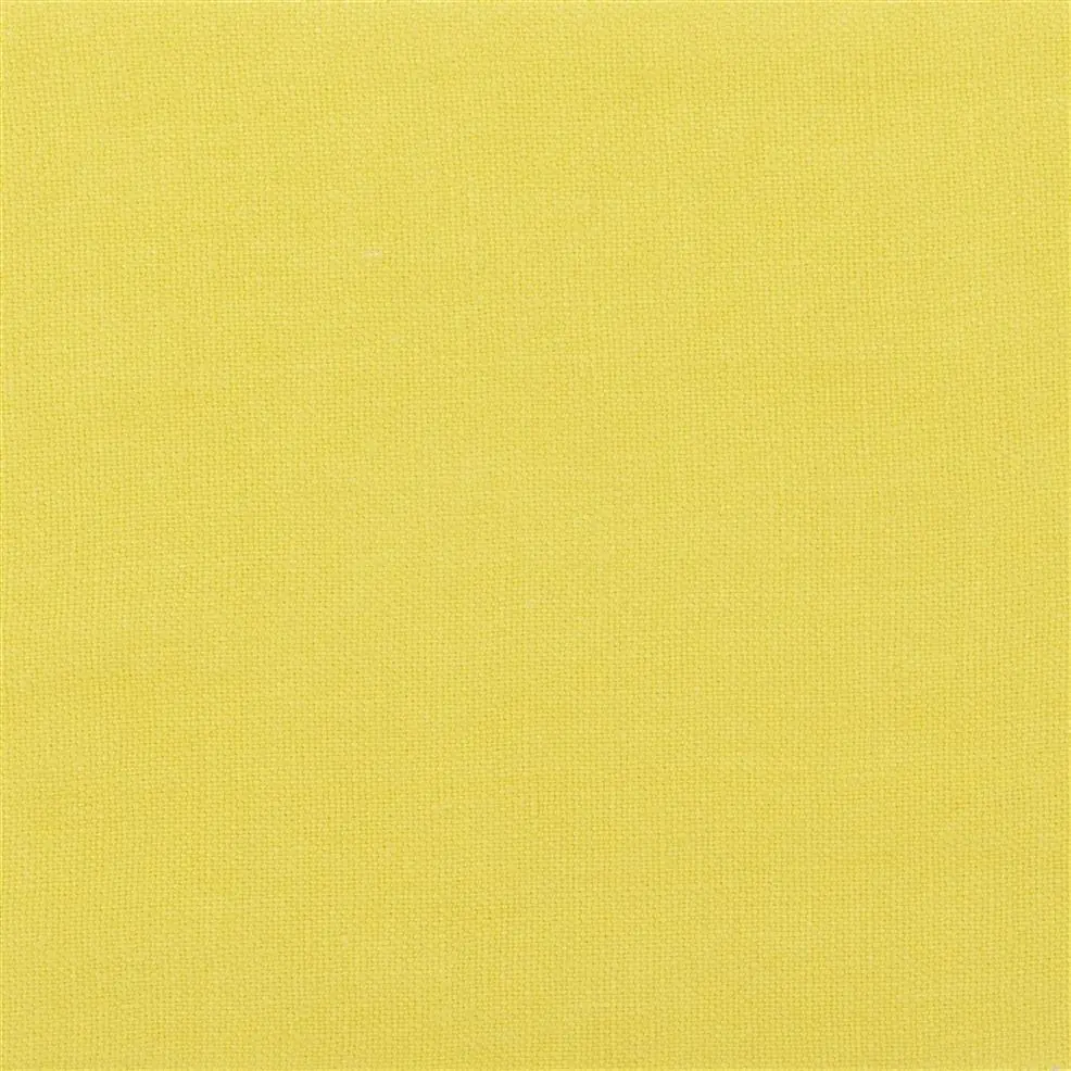 Mimosa
