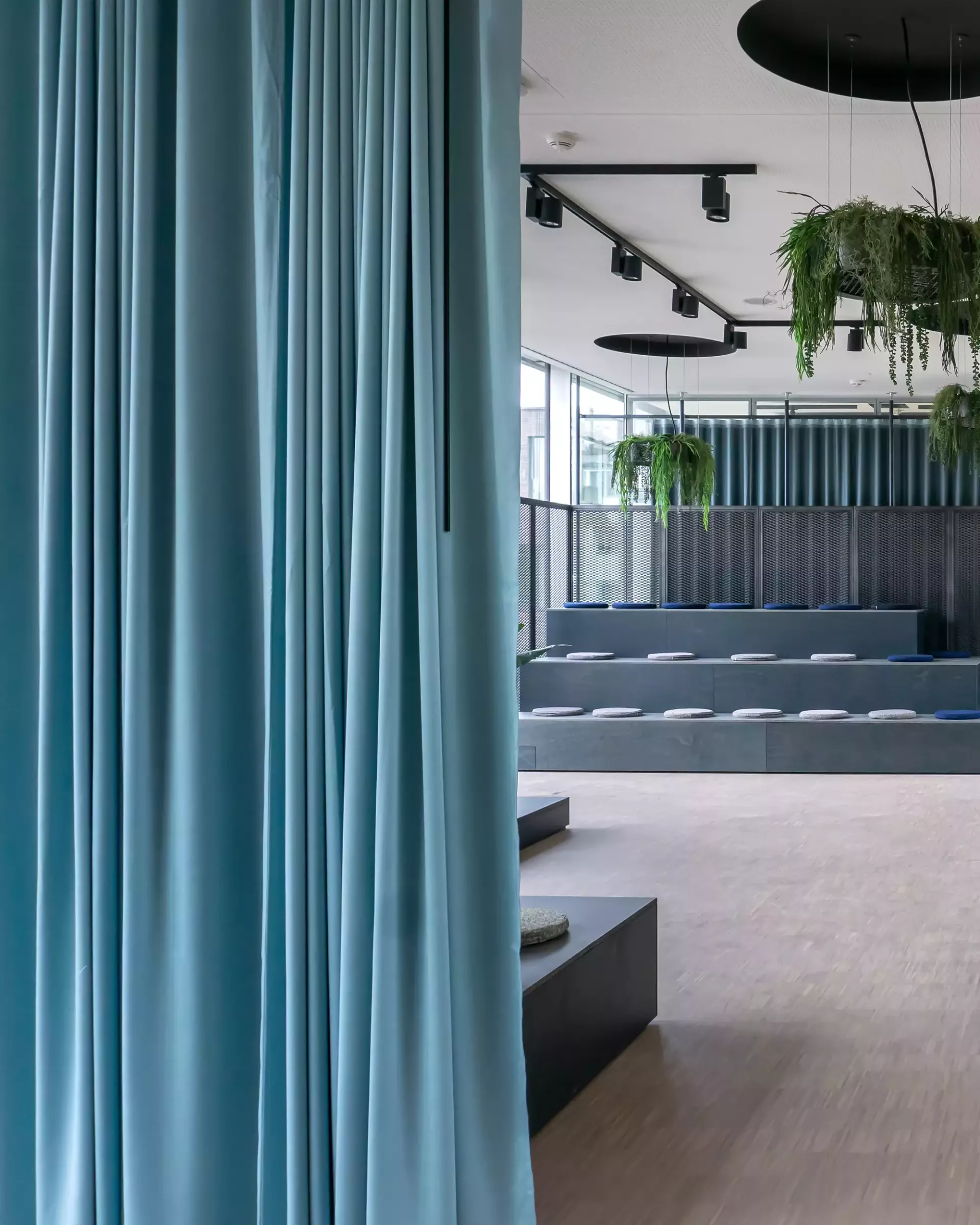 Création Baumann Dimmer IV