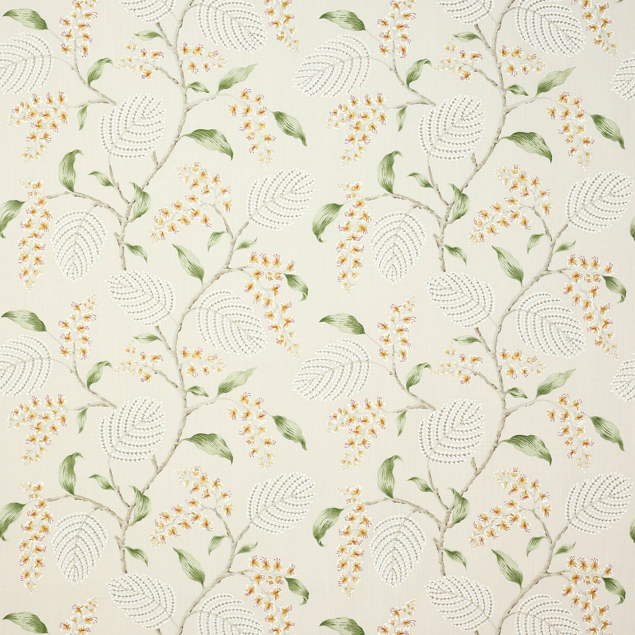 Apricot/Leaf