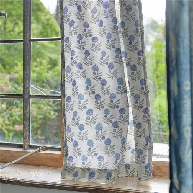 John Derian Dominote