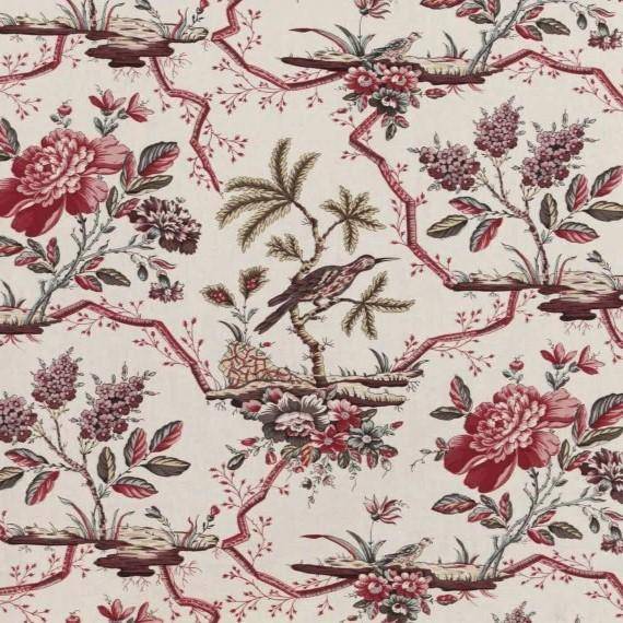 Braquenie Comtesse de mailly  