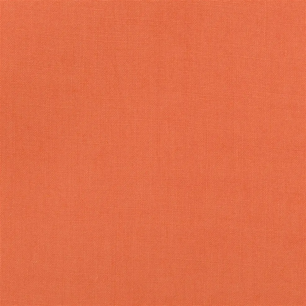 Persimmon