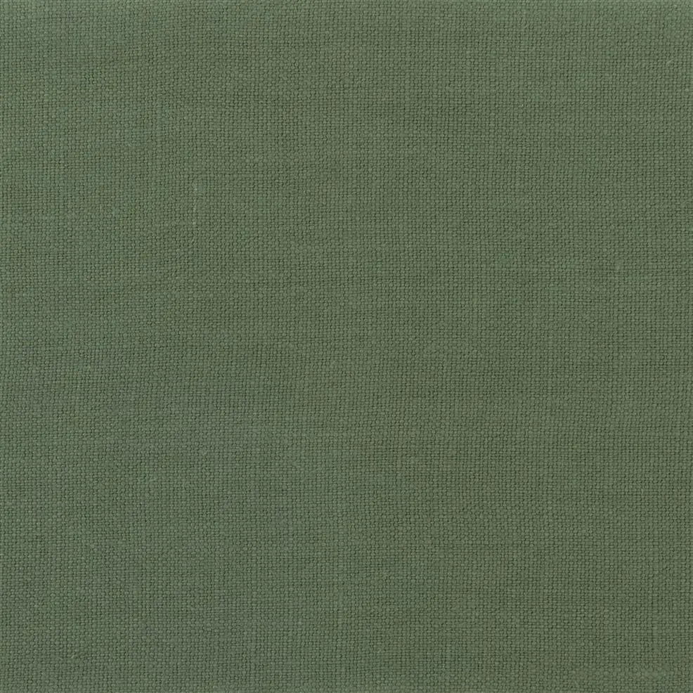 Quercus