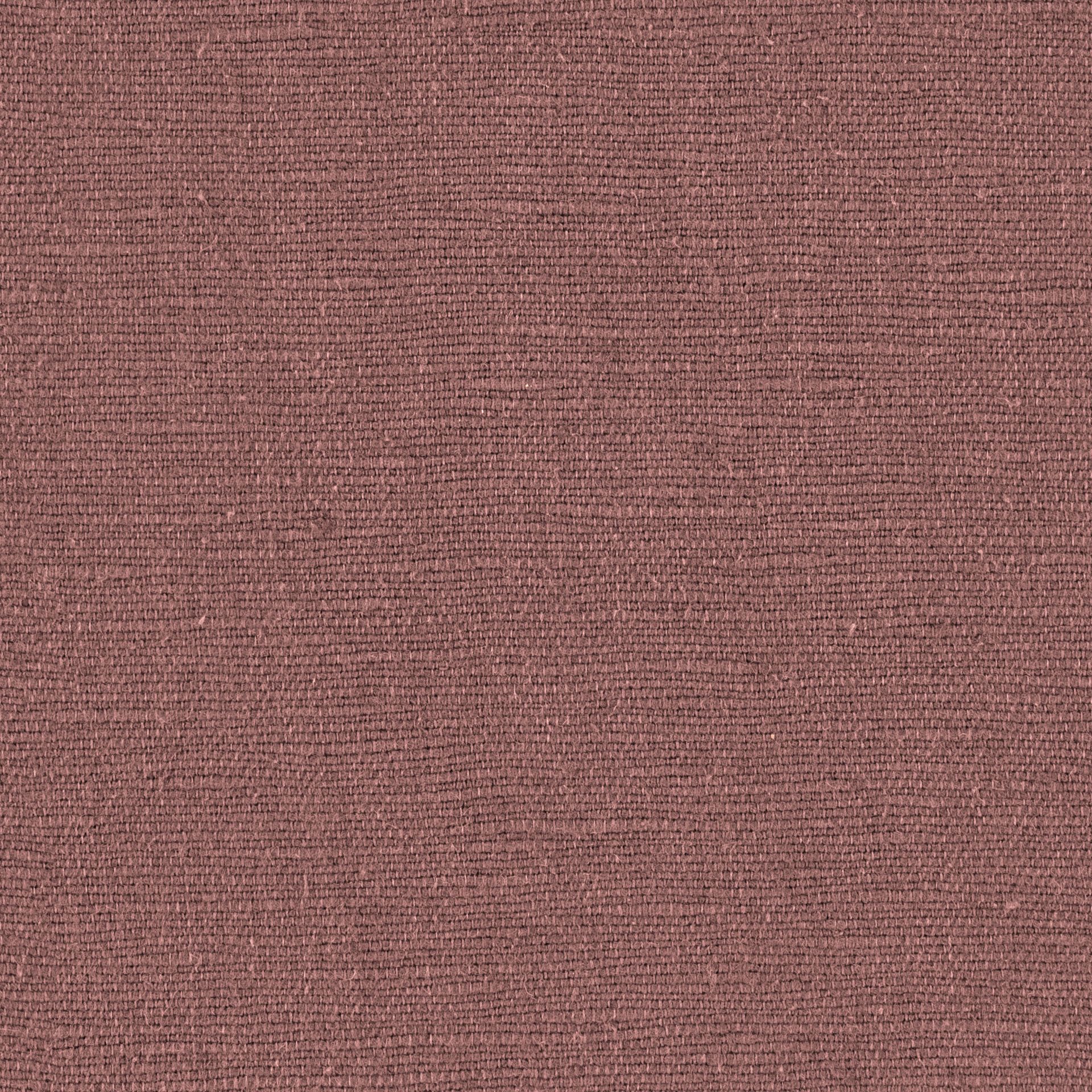554
