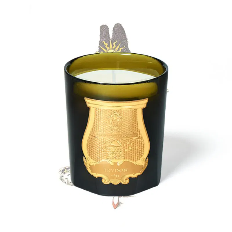 Trudon Solis Rex