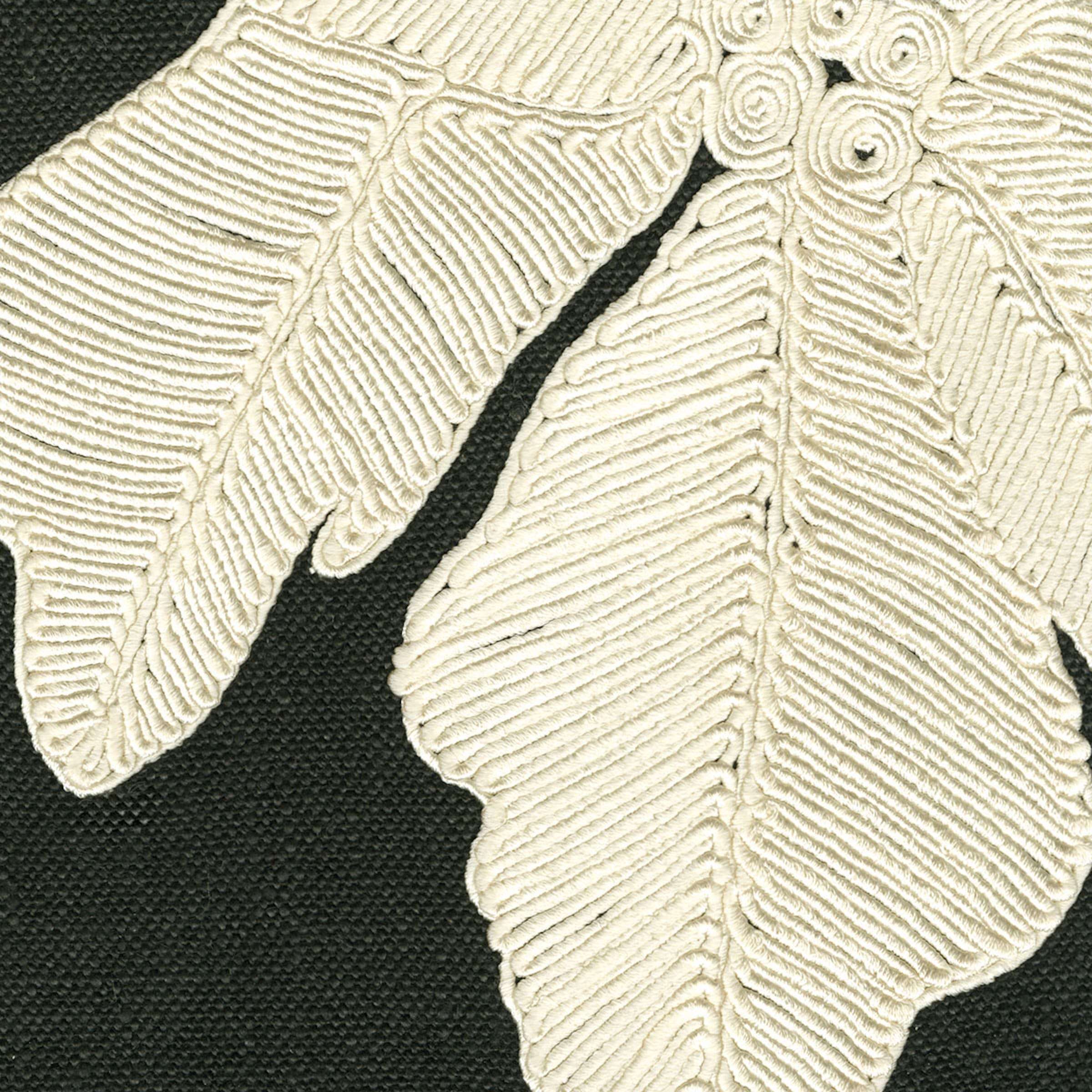 Entouré d'ombre et d'ivoire