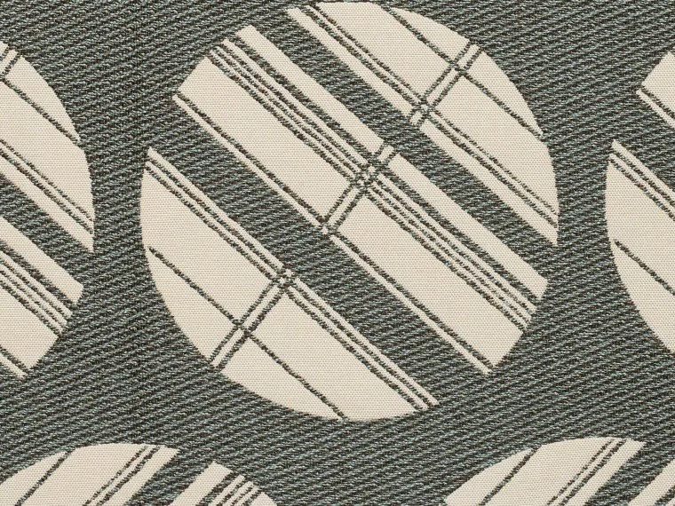 N3137_FE