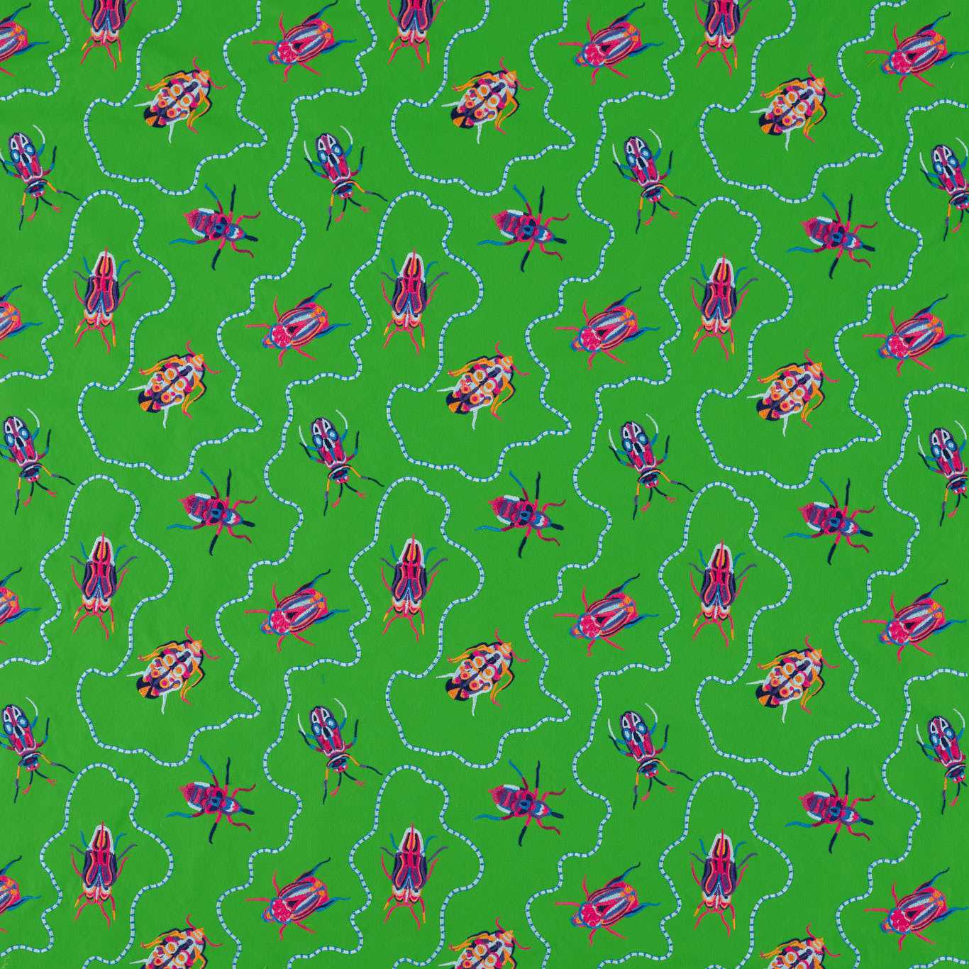 Harlequin Jewel Beetles  