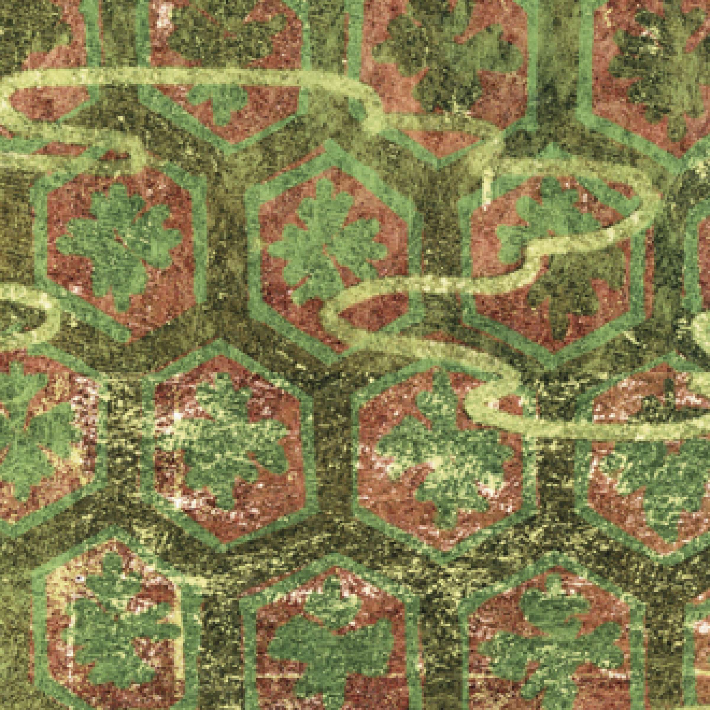 L'éveil de la nature