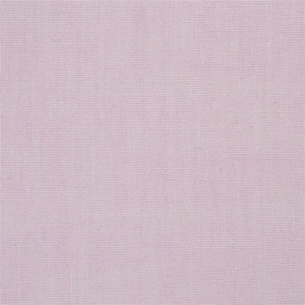Pale Rose