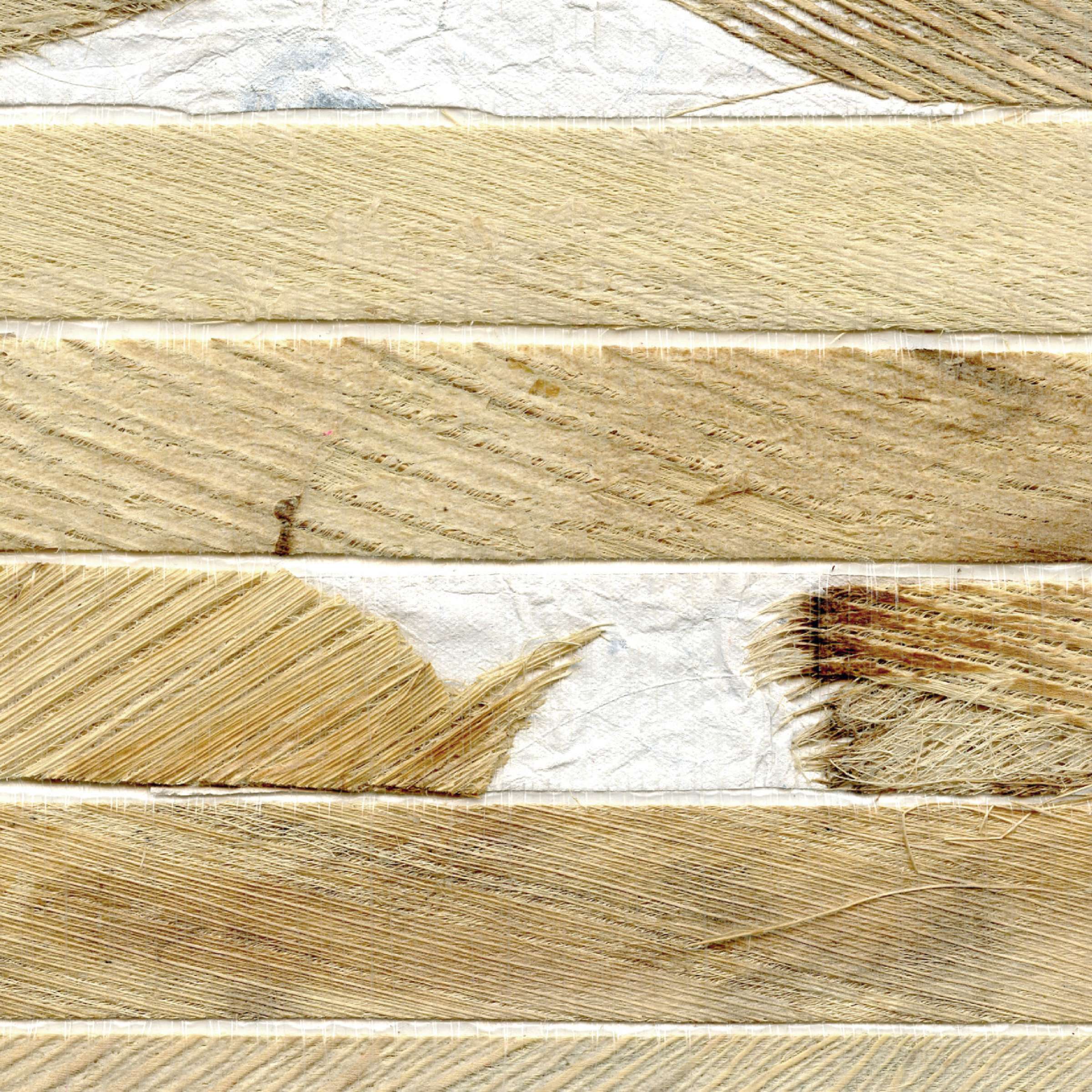 Au plus près de la nature