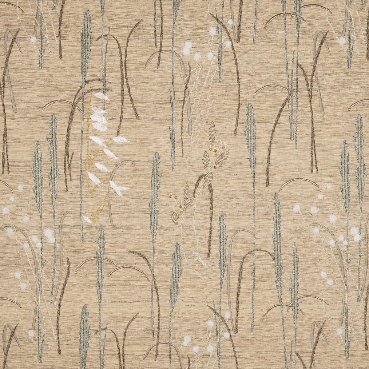 Nobilis Herbier