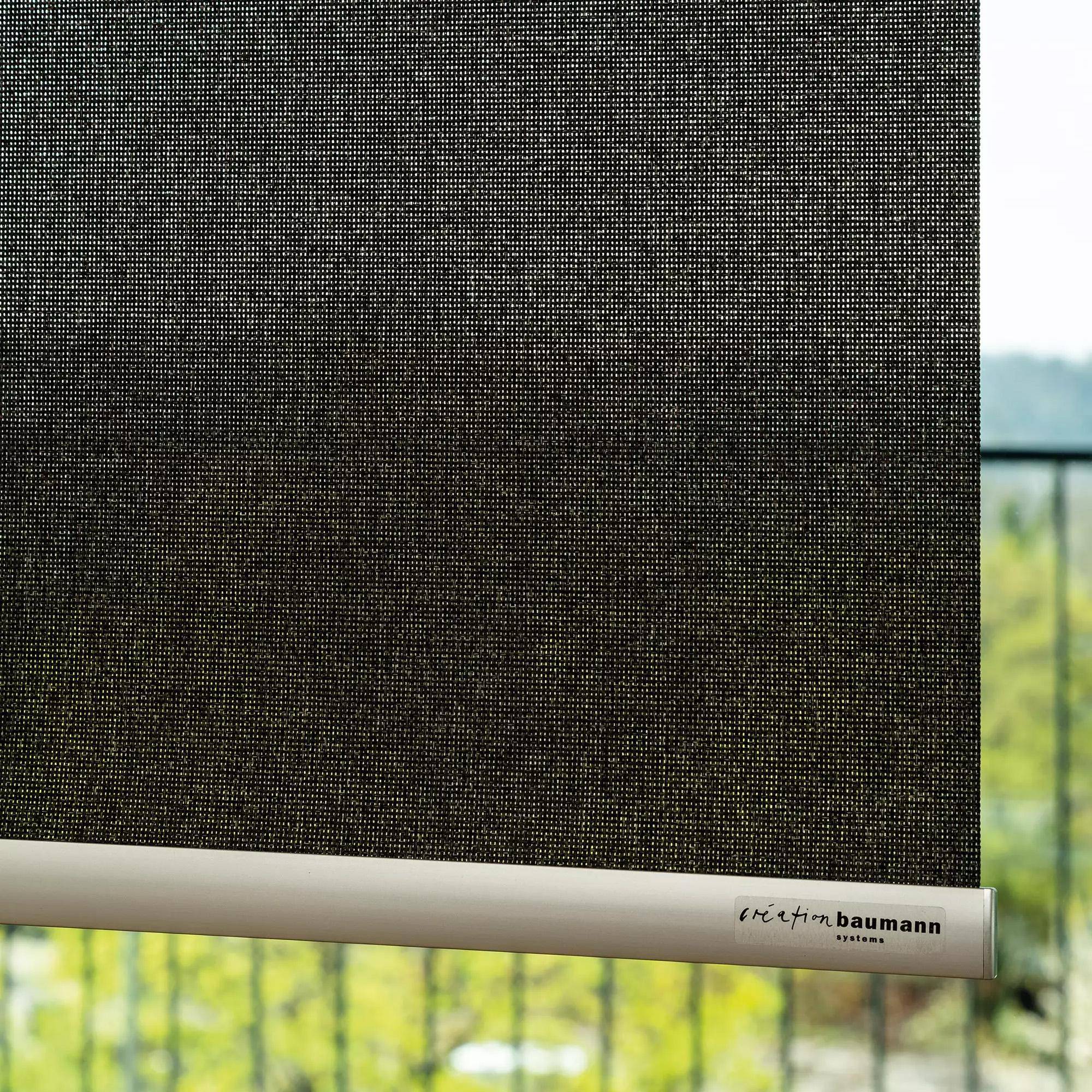 Création Baumann Screlan R