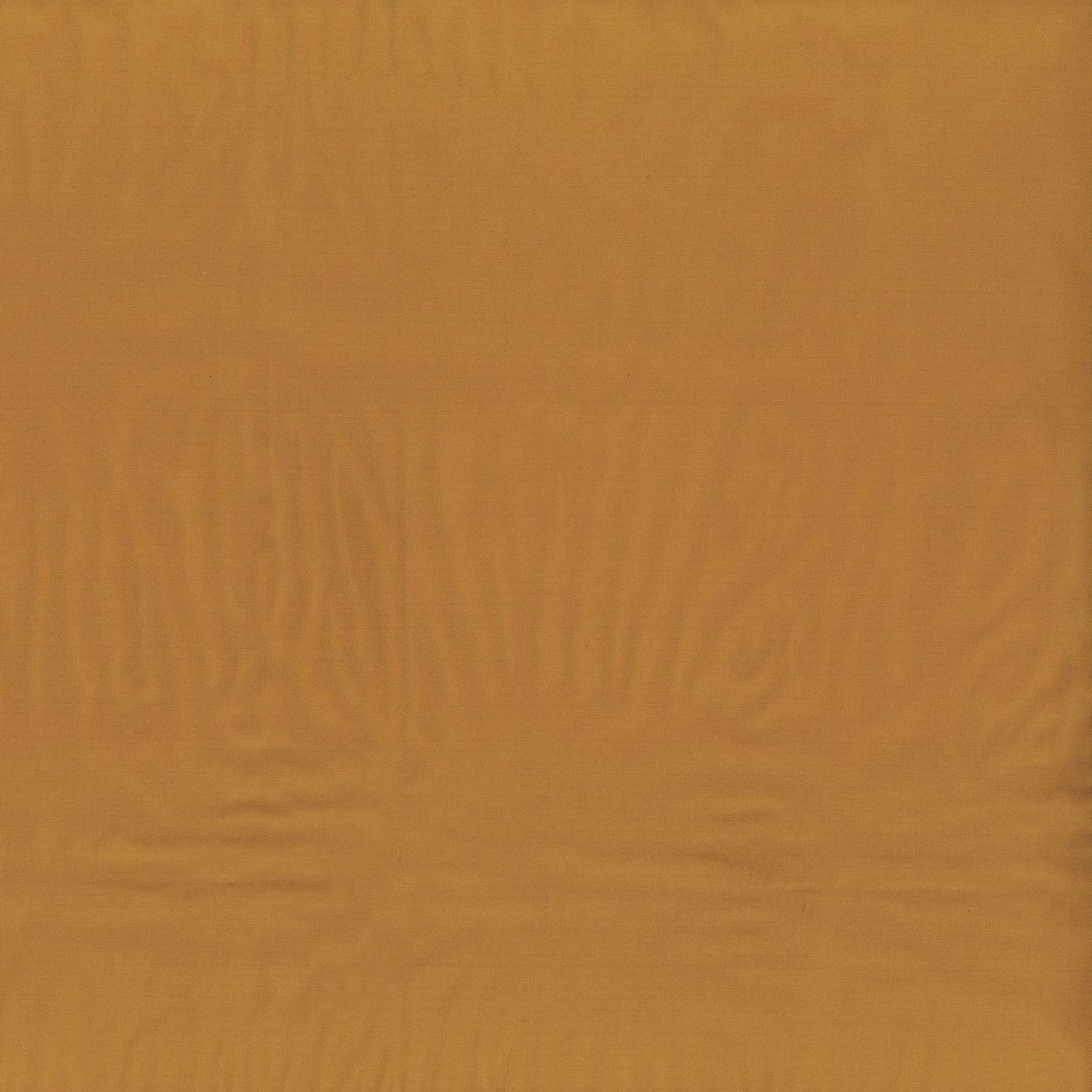 Ambre