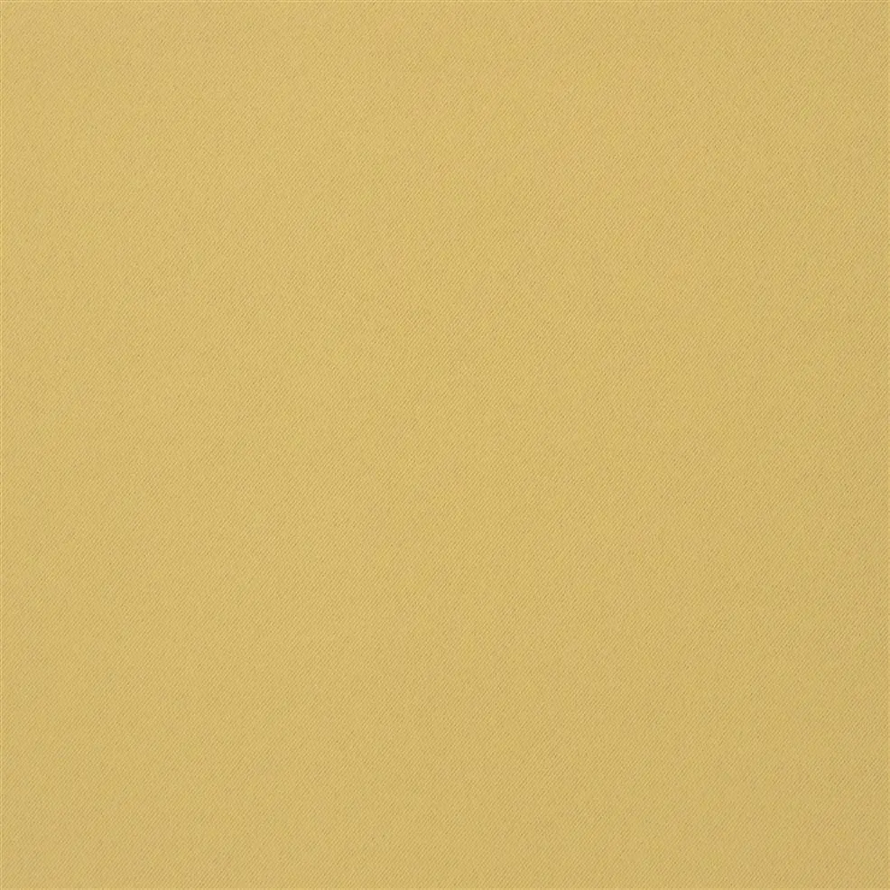 Vanilla