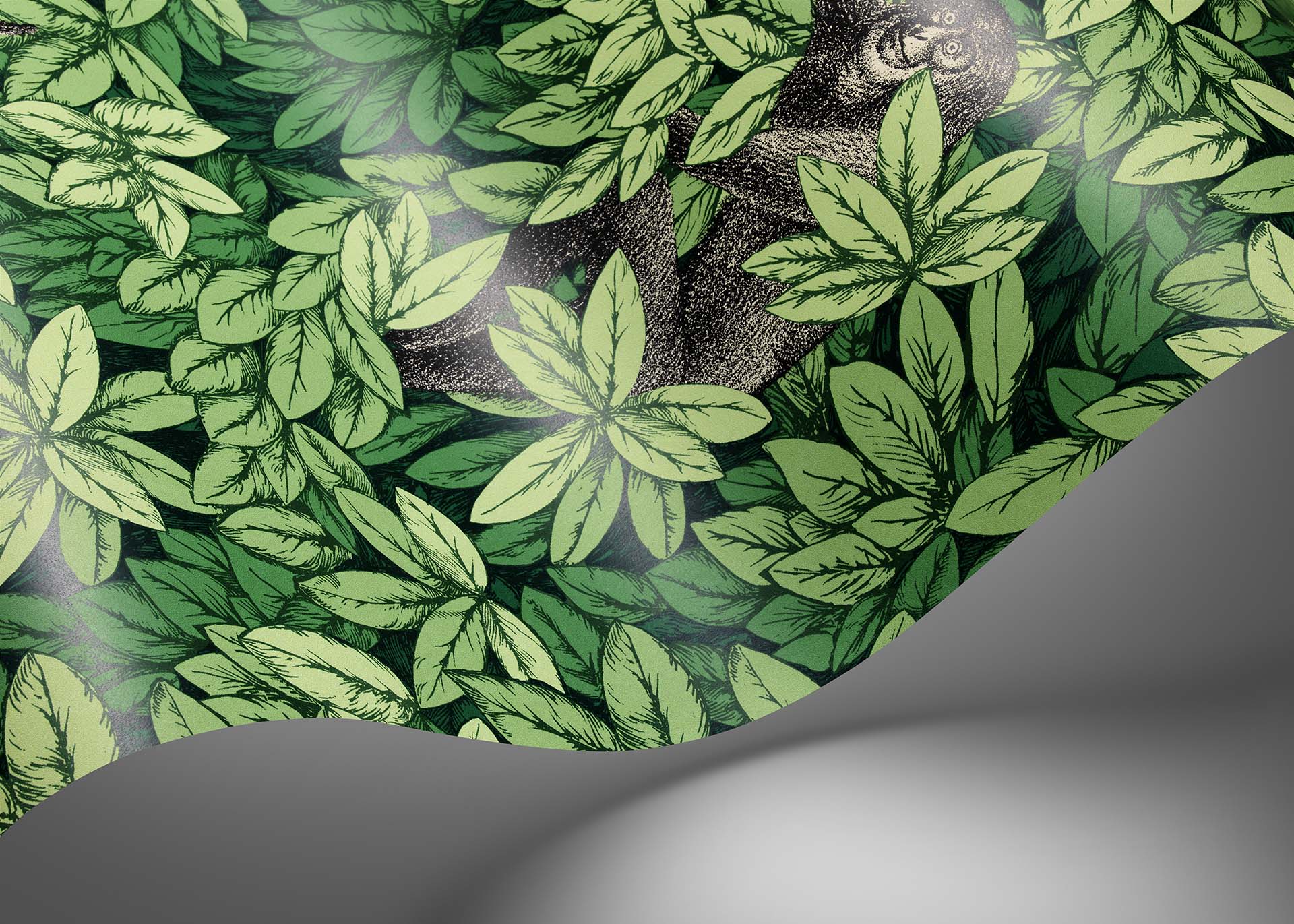 Cole & Son Foglie e Scimmie