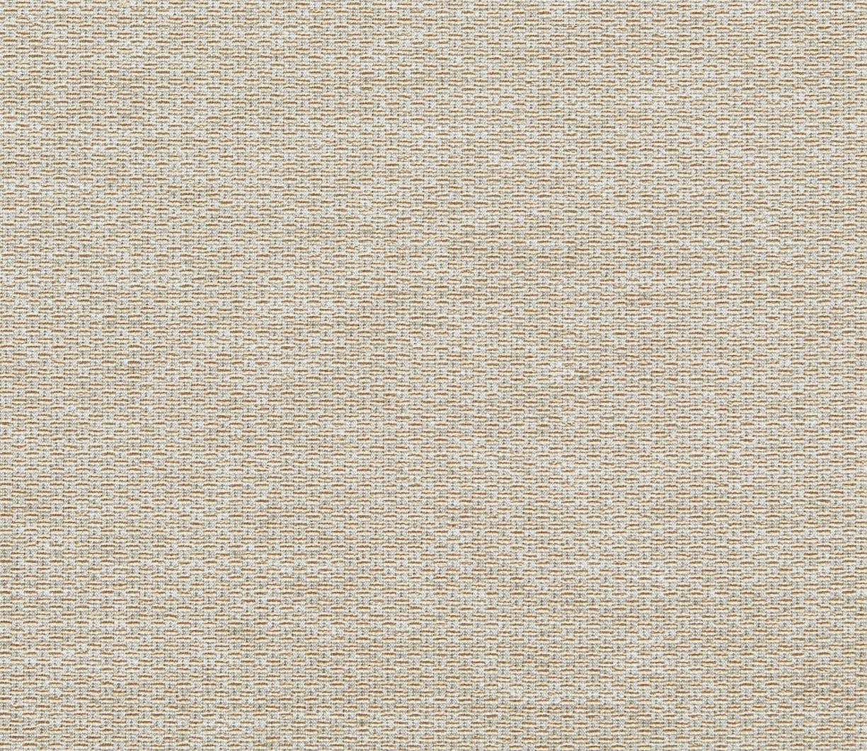 Sahara