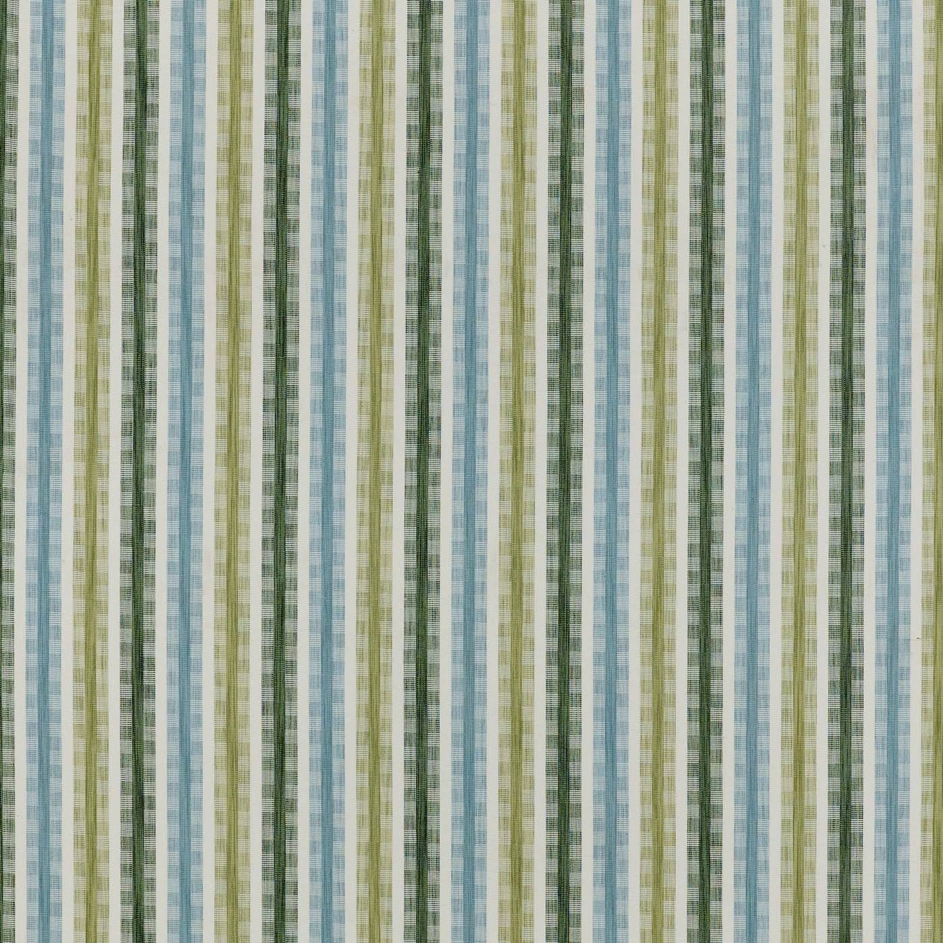 Periwinkle/Aqua/Lime