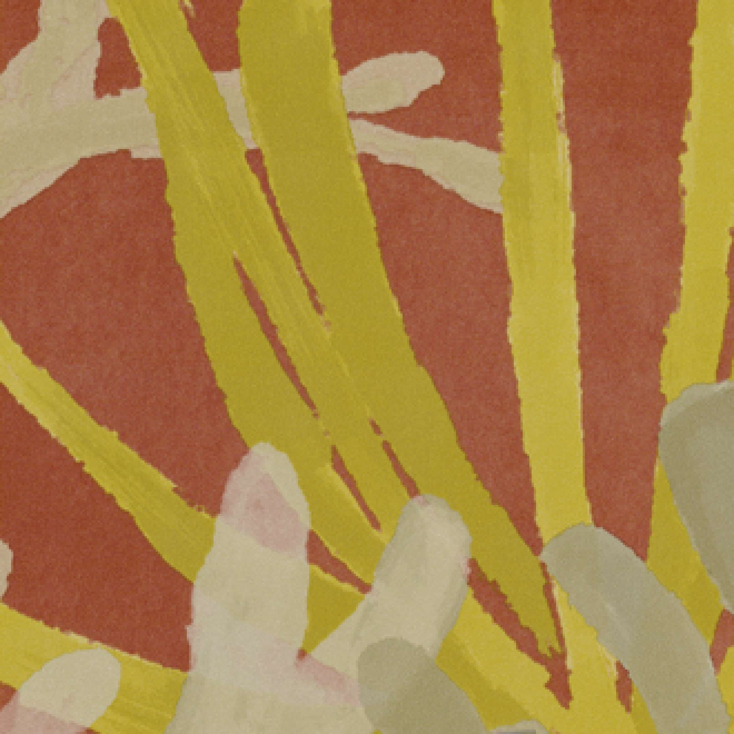 Le culte de la jeunesse