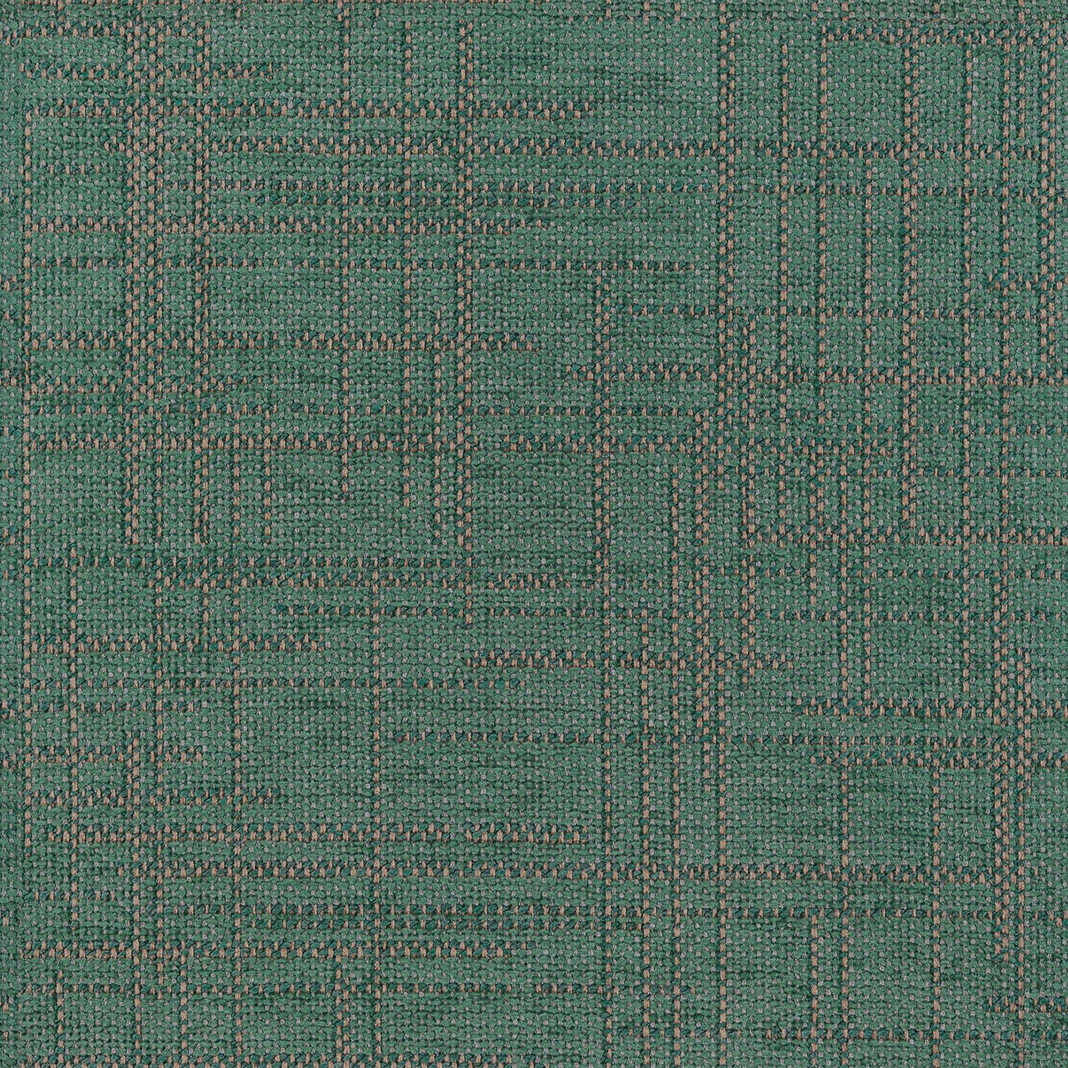 645