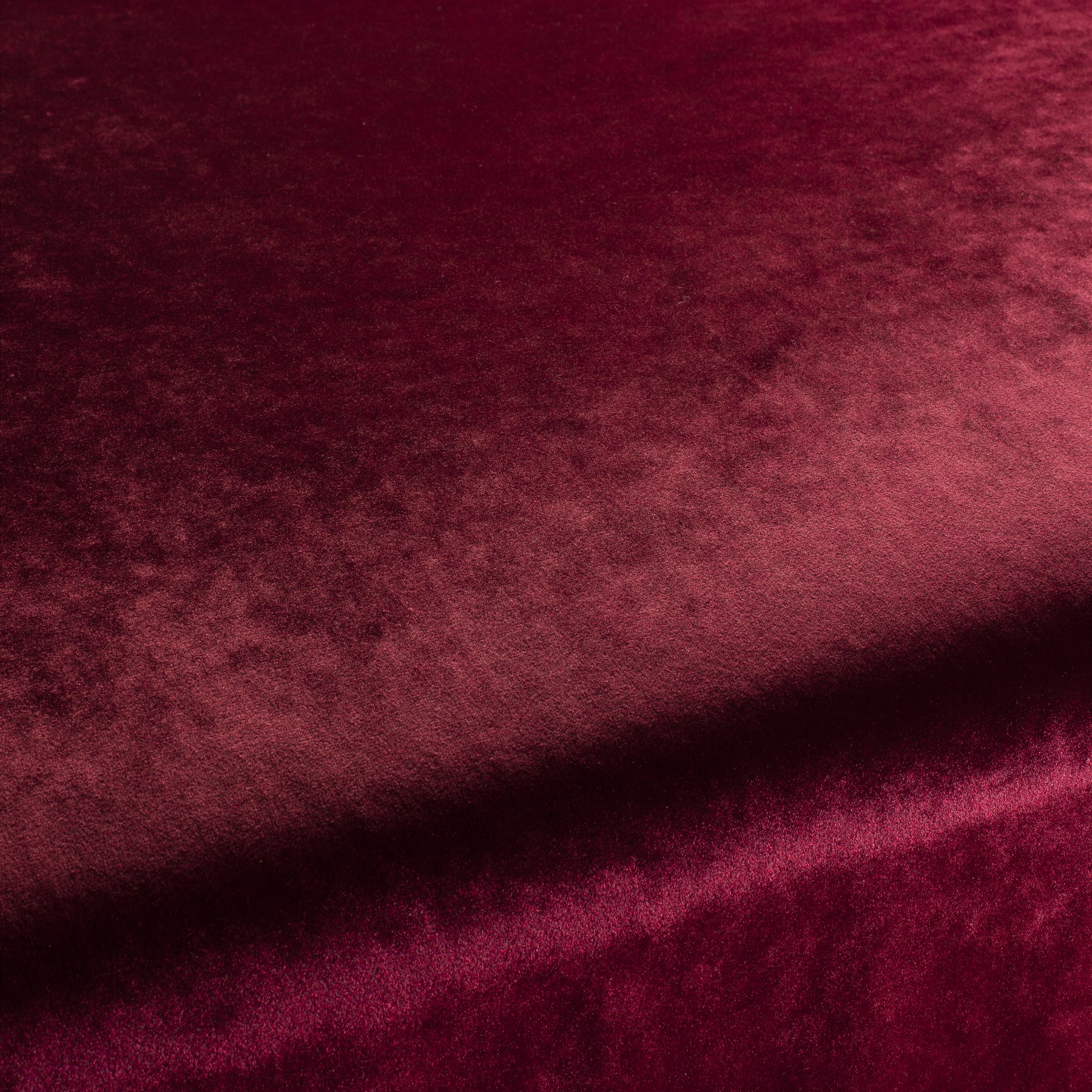 Carlucci Palazzo Velvet Reloaded