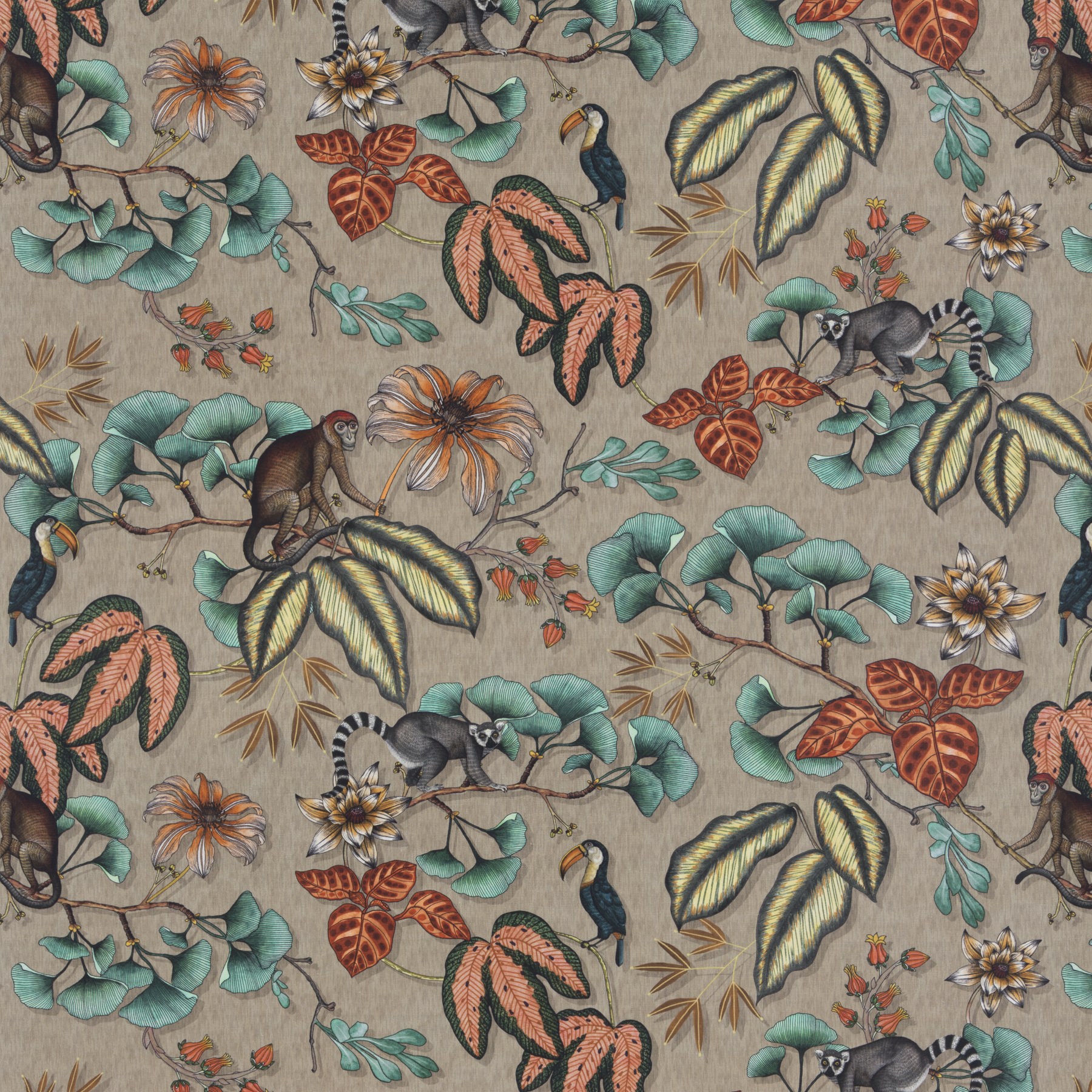 Chivasso Fantastic Madagascar