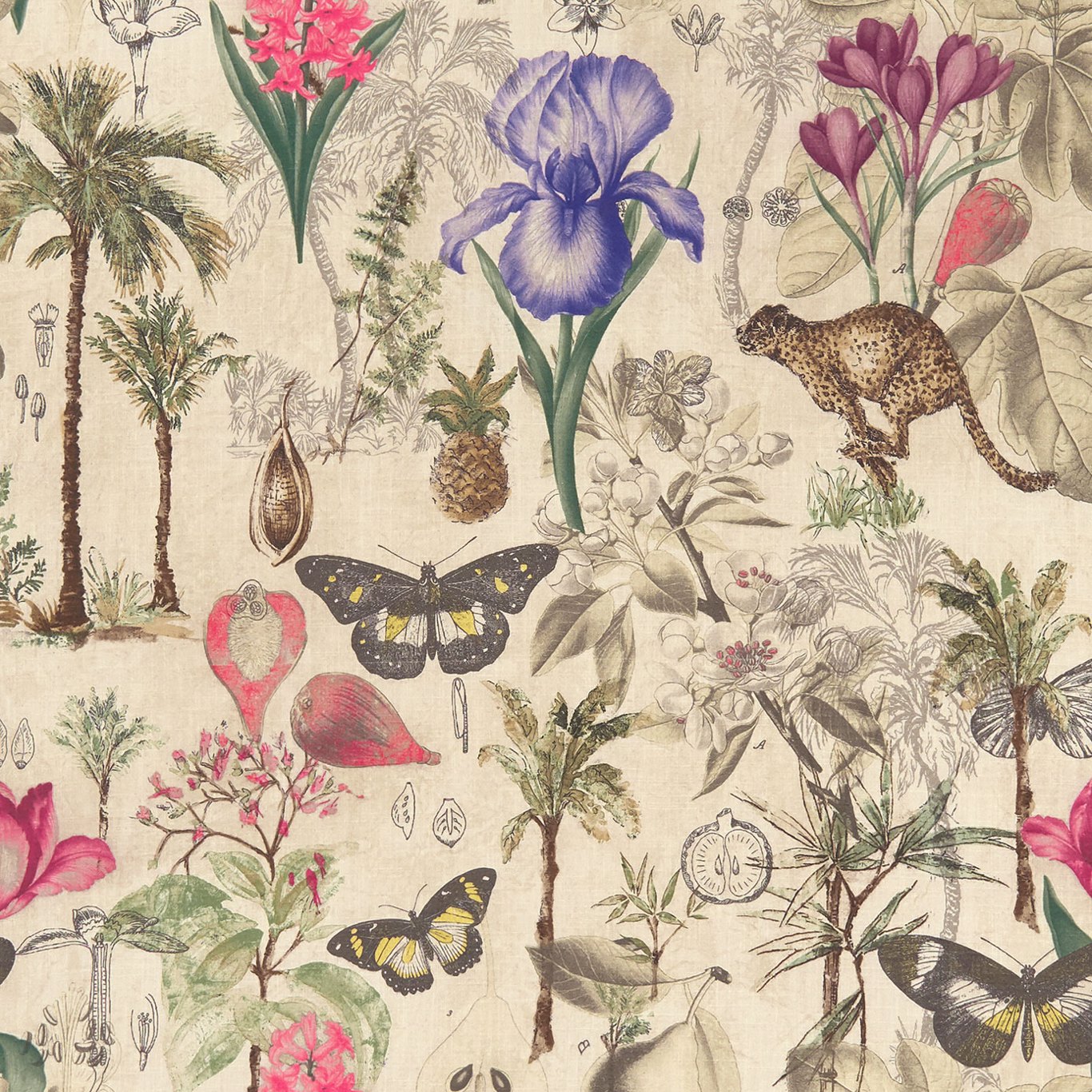 Clarke & Clarke Botany