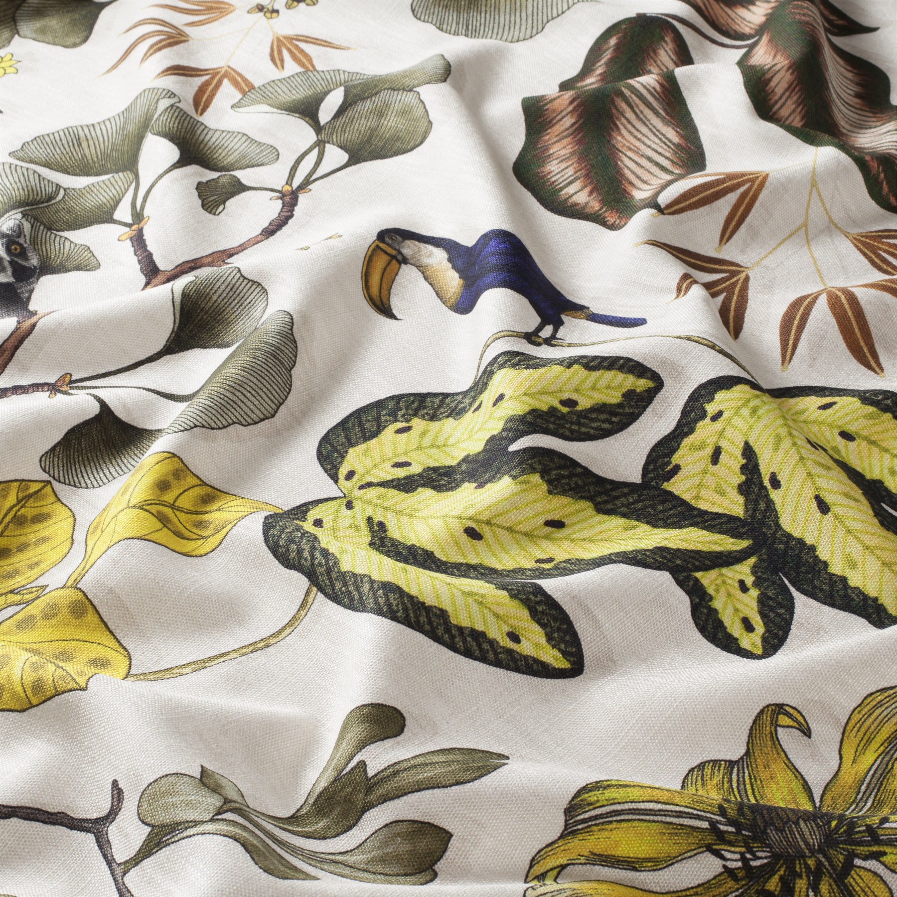 Chivasso Fantastic Madagascar