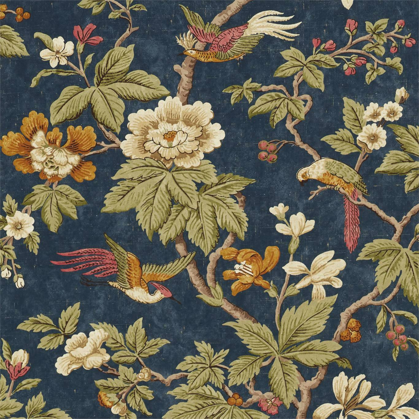 Sanderson Lophura
