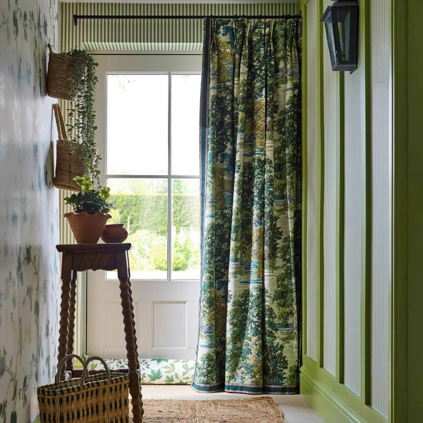 Sanderson Ancient Canopy