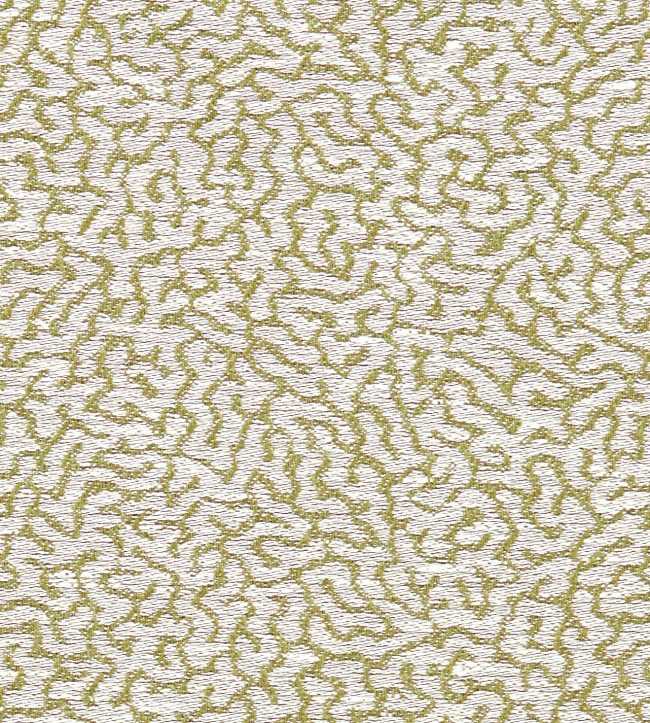 Lawn