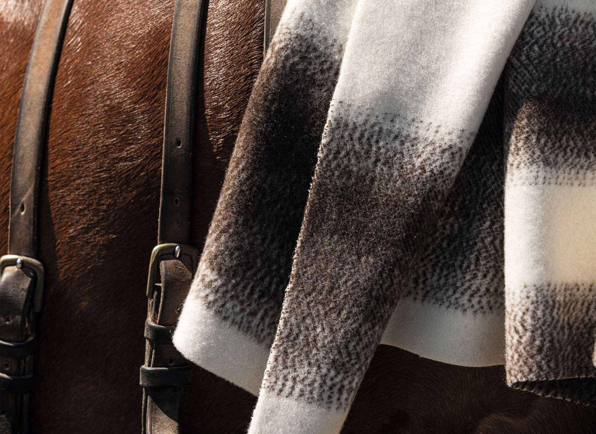 Elitis Les bergers endormis Elitis Les bergers endormis