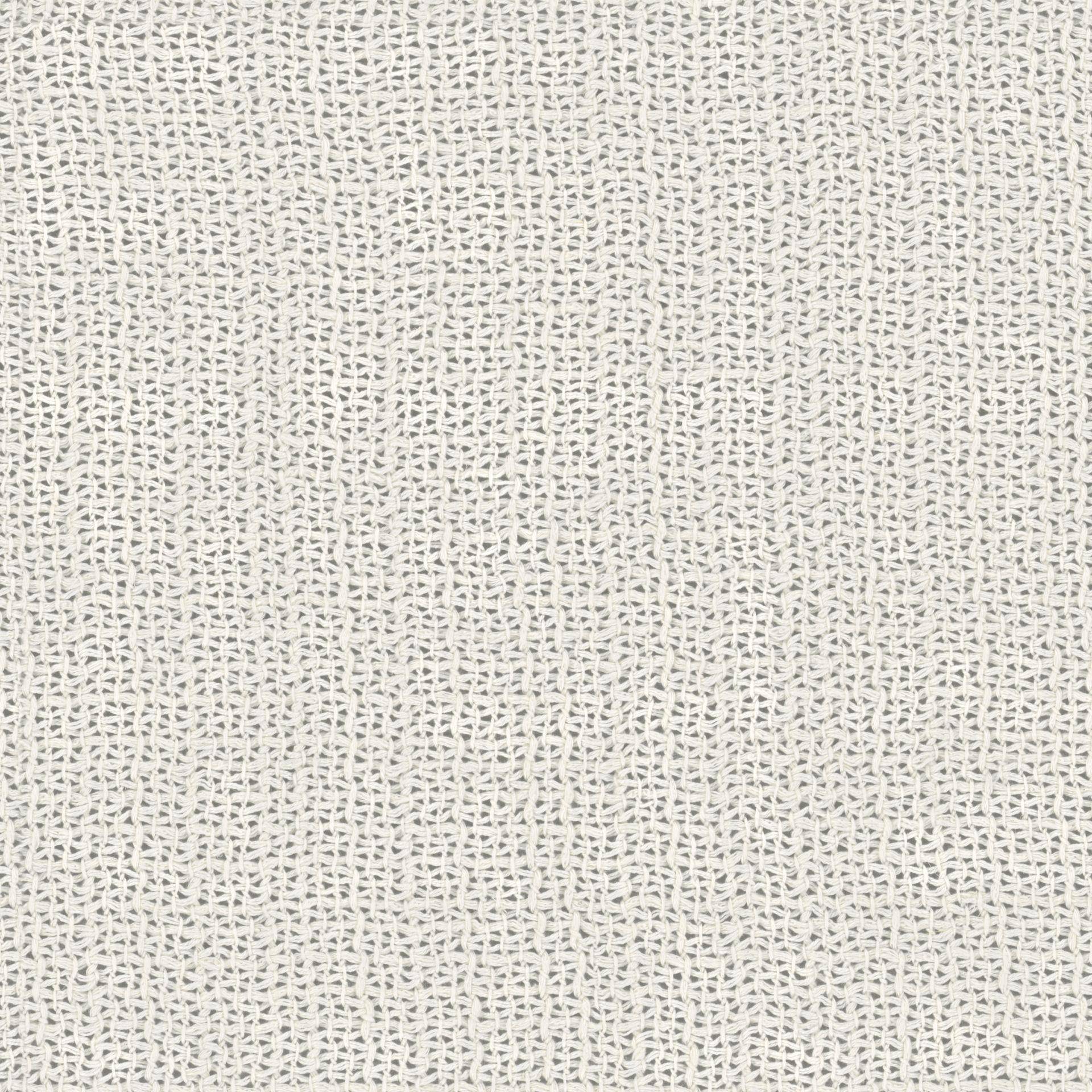 Etamine Blanc de lin RE