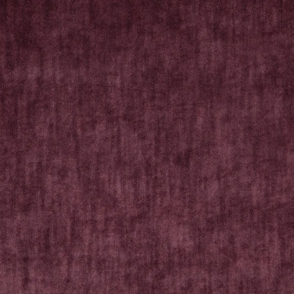 Mulberry