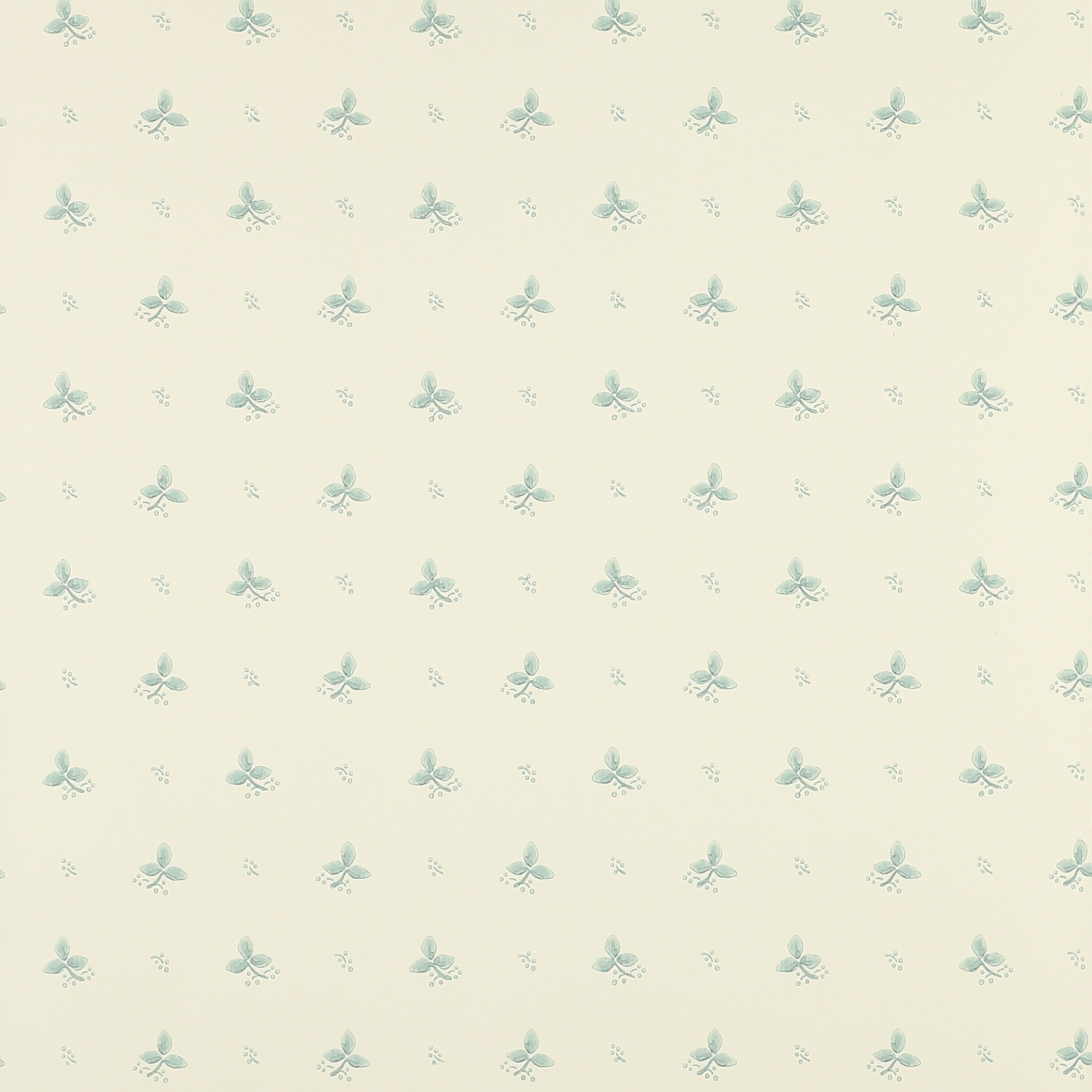 Aqua