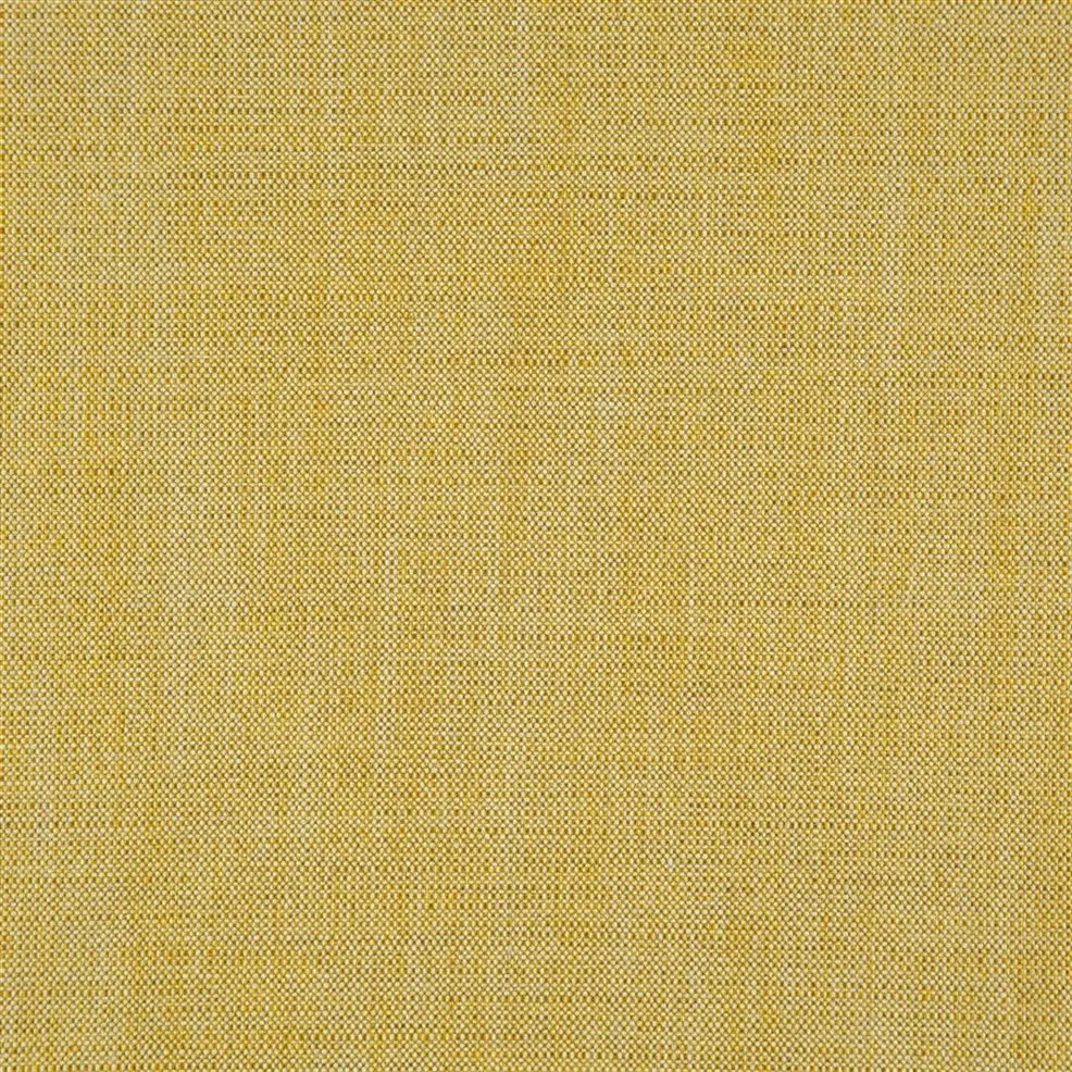 Ochre